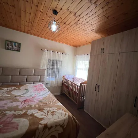 Bujtina Seyna * Librazhet