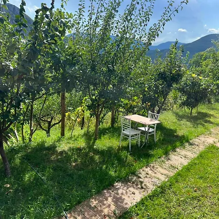 Casa de Campo Bujtina Seyna